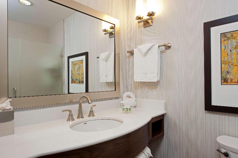 キングサイズベッドのスタンダードルーム, Hilton Garden Inn Indianapolis Downtown