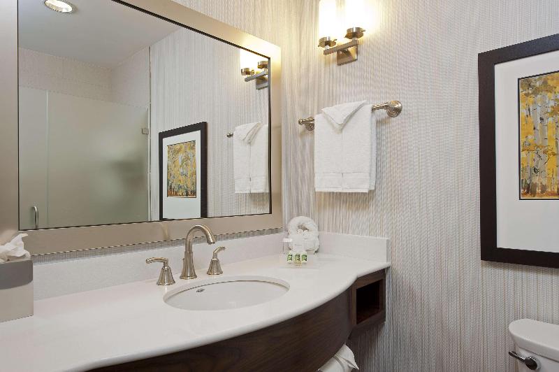 キングサイズベッドのスタンダードルーム, Hilton Garden Inn Indianapolis Downtown