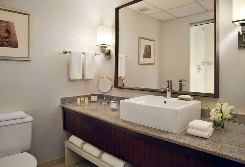 디럭스 룸, Hyatt Regency Saint Louis At The Arch
