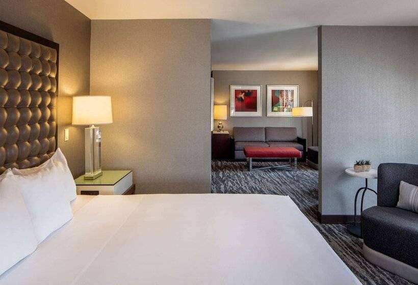 주니어 스위트, Hyatt Regency Saint Louis At The Arch