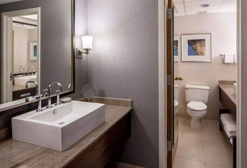 ２ダブルベッドのスタンダードルーム, Hyatt Regency Saint Louis At The Arch