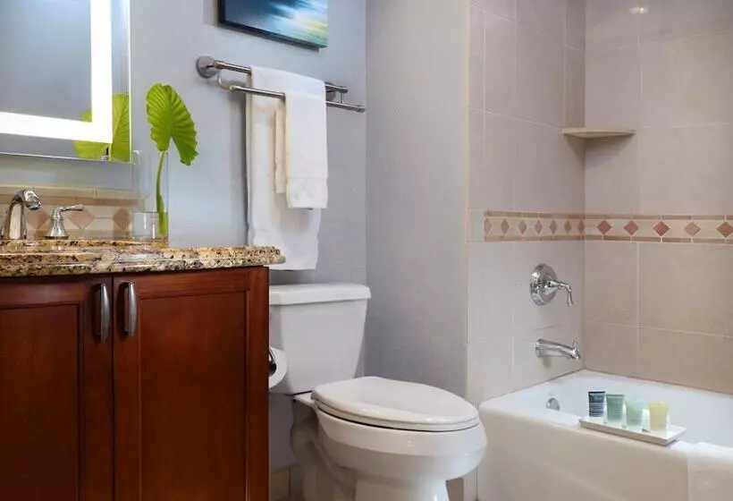 身障者適用スイートルーム, Naples Bay Resort And Marina