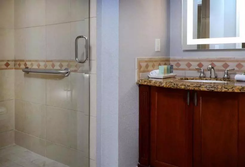 身障者適用スイートルーム, Naples Bay Resort And Marina