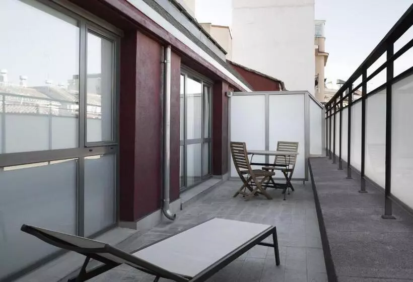اتاق استاندارد با تراس, Petit Palace Plaza Mayor