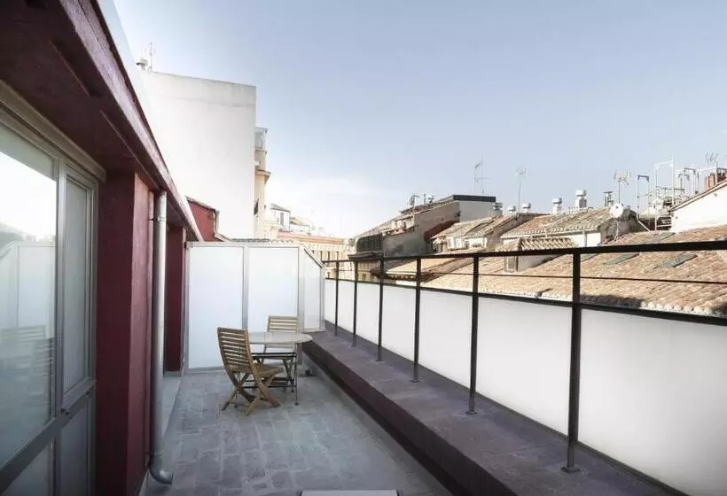 اتاق استاندارد با تراس, Petit Palace Plaza Mayor