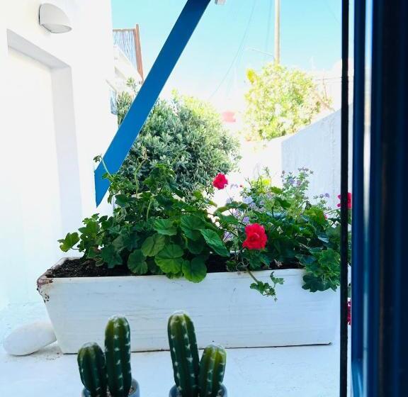 스탠다드 룸, Portobello Boutique