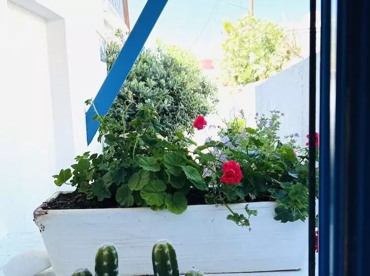 اتاق استاندارد, Portobello Boutique