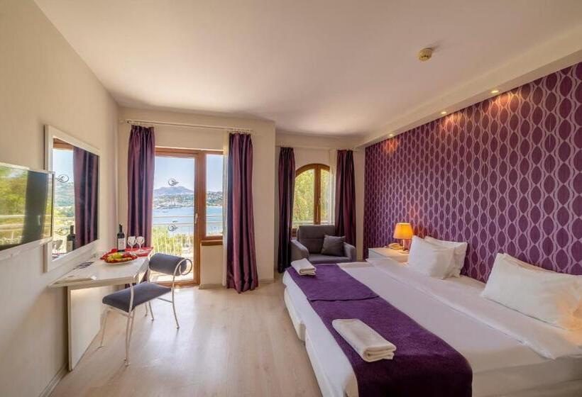 اتاق سوپریور, Riva Bodrum Resort Adult Only +16