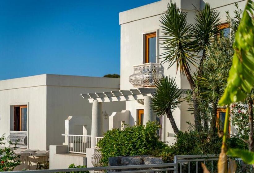 اتاق کلاب یک تخته, Riva Bodrum Resort Adult Only +16