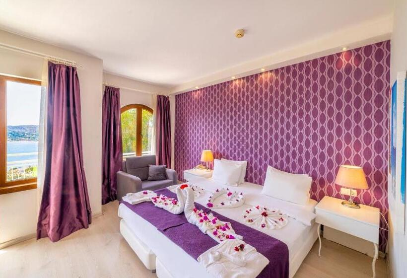 Номер Superior Одноместный, Riva Bodrum Resort Adult Only +16