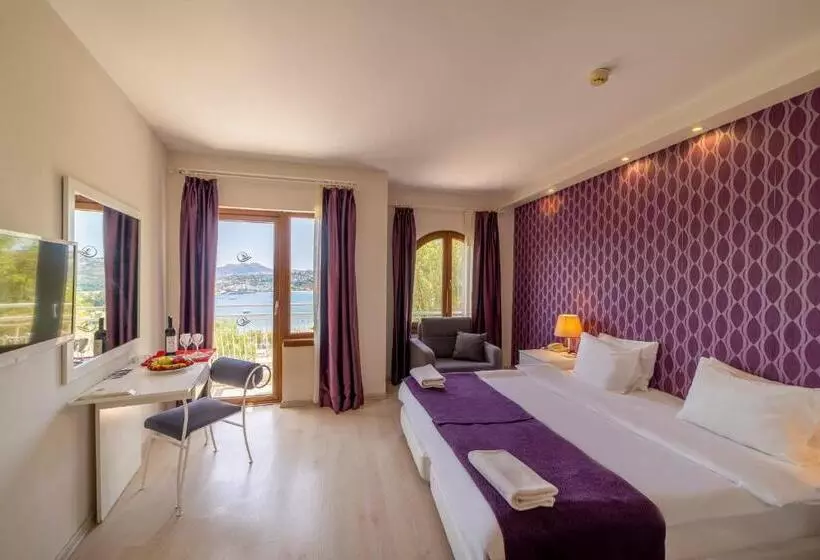 Superior Single Room