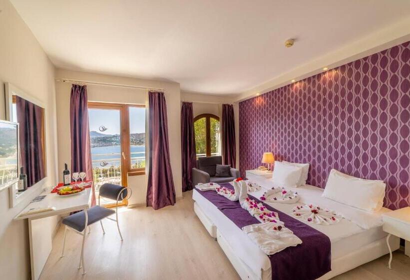 اتاق سوپریور یک تخته, Riva Bodrum Resort Adult Only +16