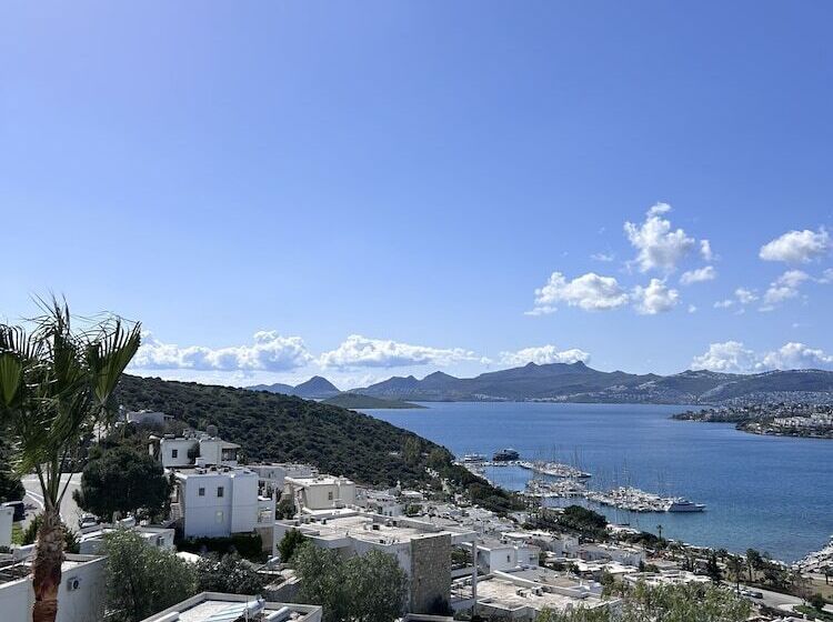 اتاق سوپریور, Riva Bodrum Resort Adult Only +16