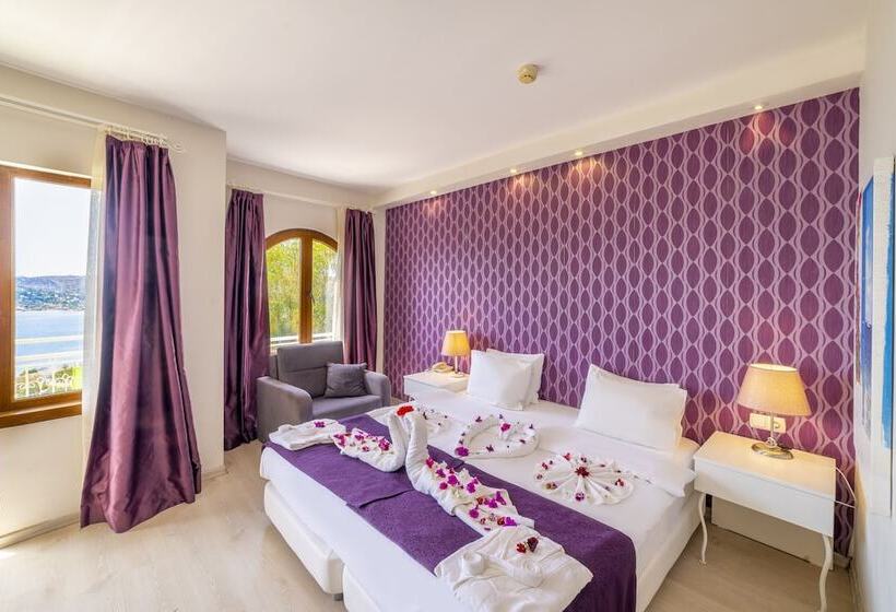 اتاق سوپریور, Riva Bodrum Resort Adult Only +16