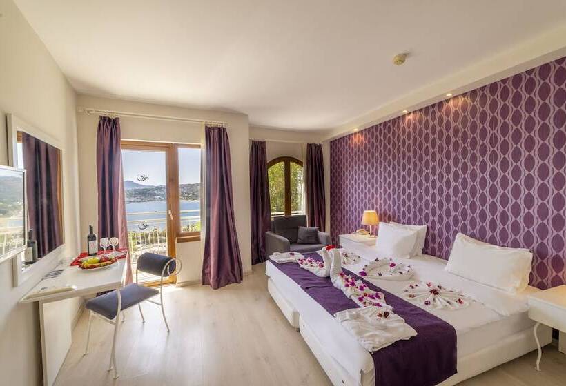 اتاق سوپریور, Riva Bodrum Resort Adult Only +16