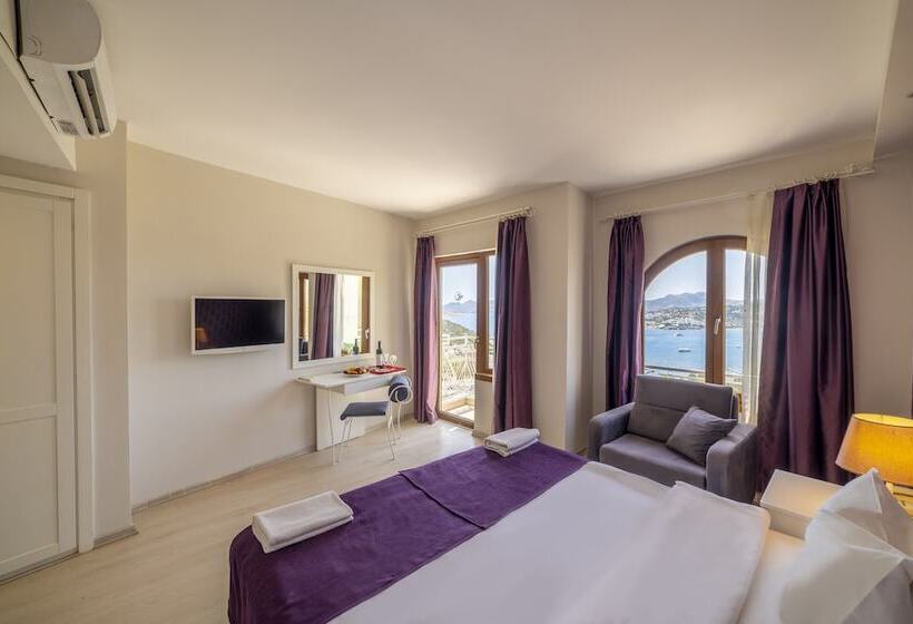 Номер Superior Одноместный, Riva Bodrum Resort Adult Only +16