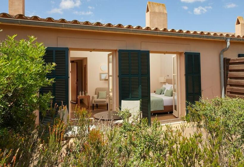 스탠다드 룸, Zoetry Mallorca Wellness & Spa