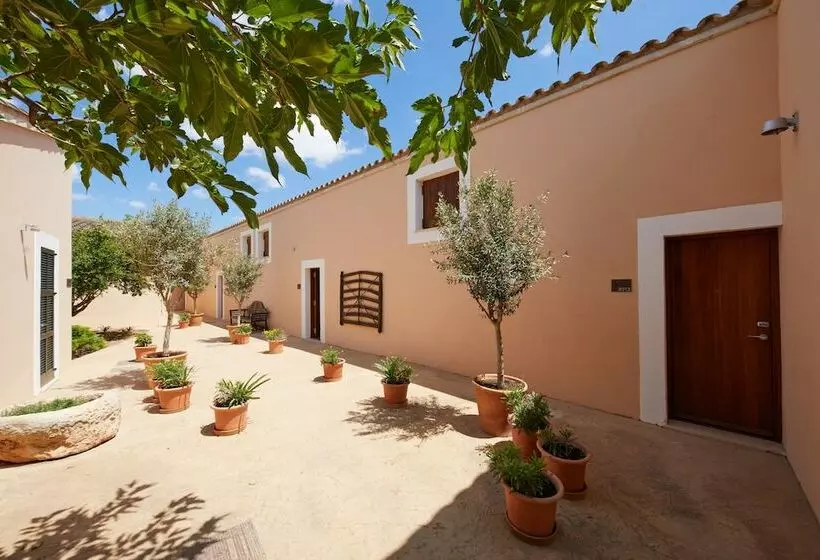 اتاق استاندارد, Zoetry Mallorca Wellness & Spa