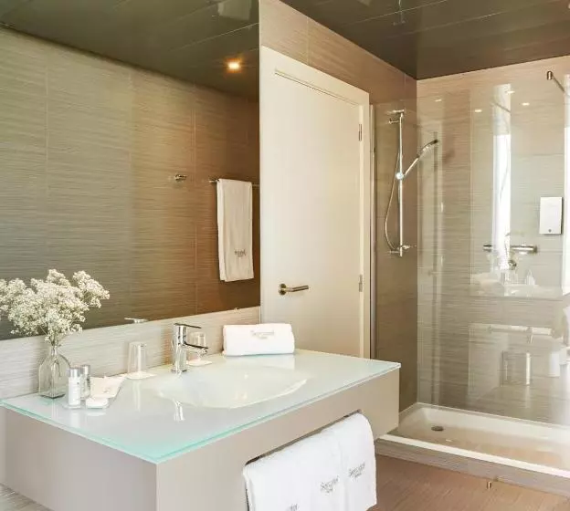 اتاق استاندارد, Sercotel Boulevard Vitoriagasteiz
