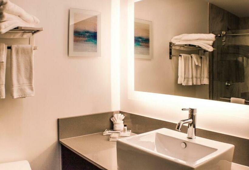 キングサイズベッドのスタンダードルーム, Holiday Inn Cookeville, An Ihg