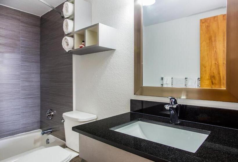 غرفة قياسية, Arya Blu Inn And Suites