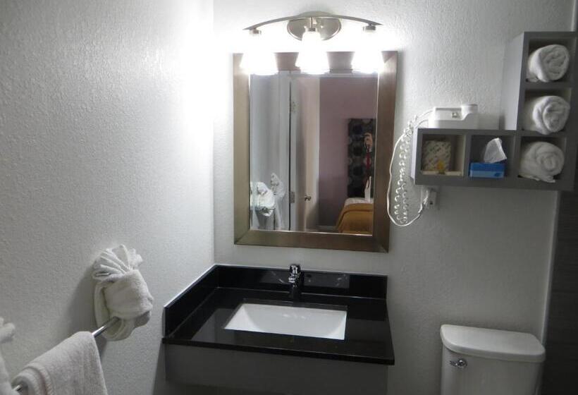 غرفة قياسية سرير كينج, Arya Blu Inn And Suites