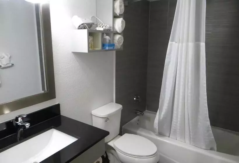 キングサイズベッドのデラックススイート, Arya Blu Inn And Suites