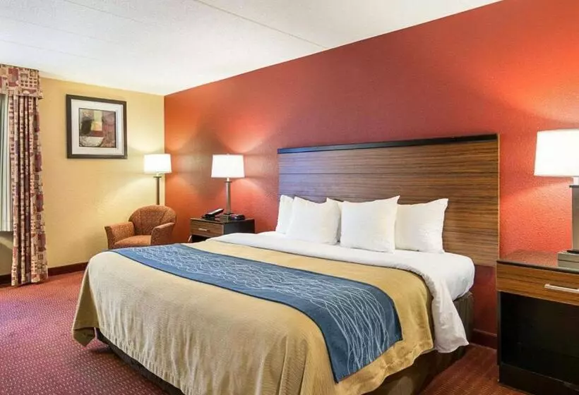 キングサイズベッドのスタンダードルーム, Comfort Inn