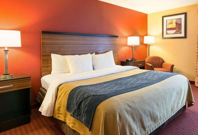 غرفة قياسية سرير كينج, Comfort Inn