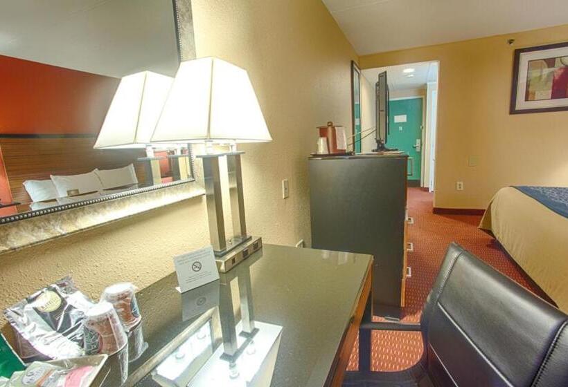 غرفة قياسية سرير كينج لذوى الإحتياجات الخاصة, Comfort Inn