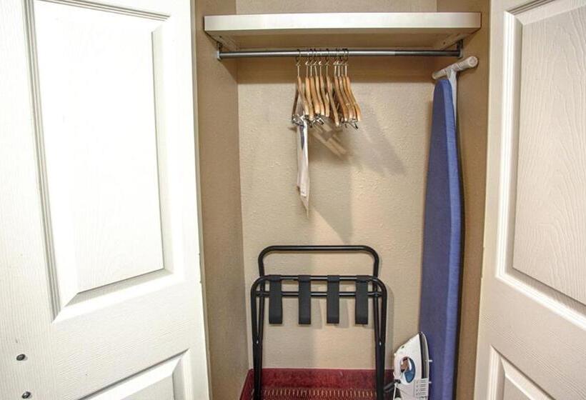 غرفة قياسية سرير كينج لذوى الإحتياجات الخاصة, Comfort Inn