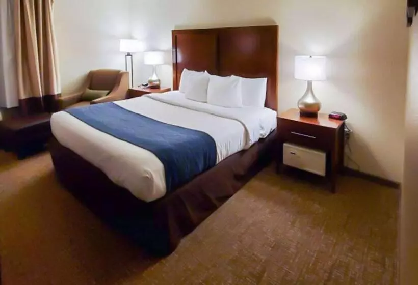スタンダードルーム, Comfort Inn