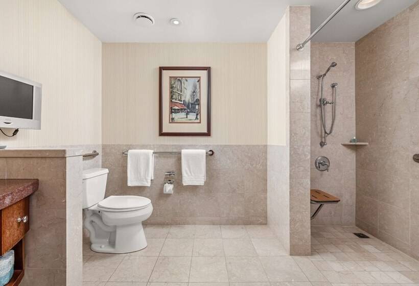 quarto Deluxe Adaptado para Deficientes Físicos, Conrad Indianapolis