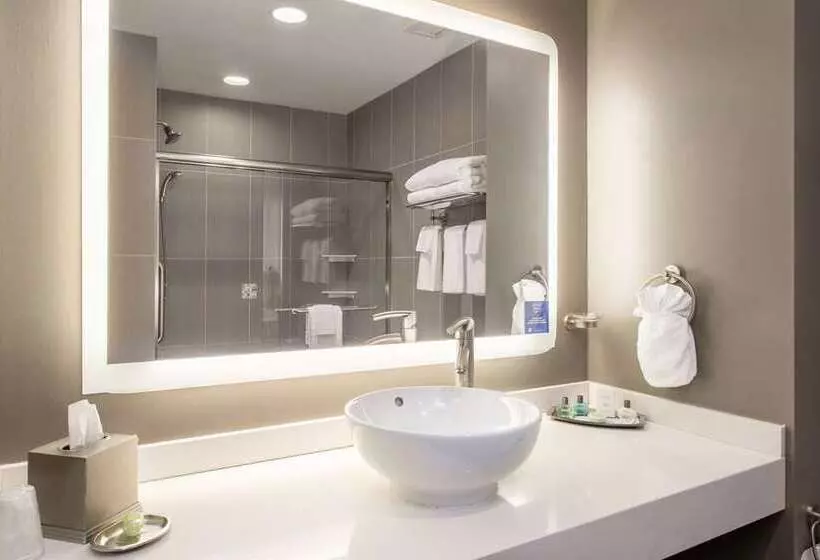 سوئیت با تخت بزرگ, Conrad Indianapolis