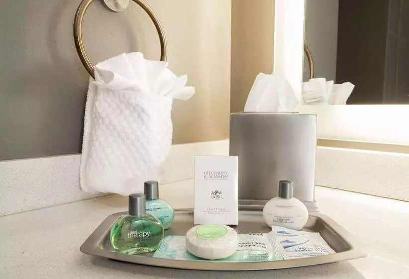 سوئیت با تخت بزرگ, Conrad Indianapolis