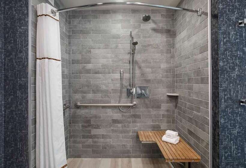 חדר דחוקס עם מיטת קינג, Conrad Indianapolis