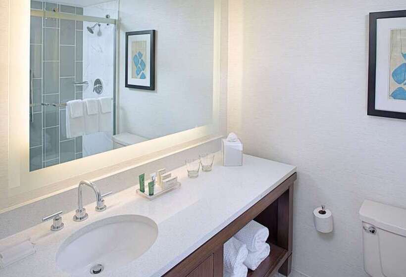 מיטת קינג בסוויטה, Conrad Indianapolis