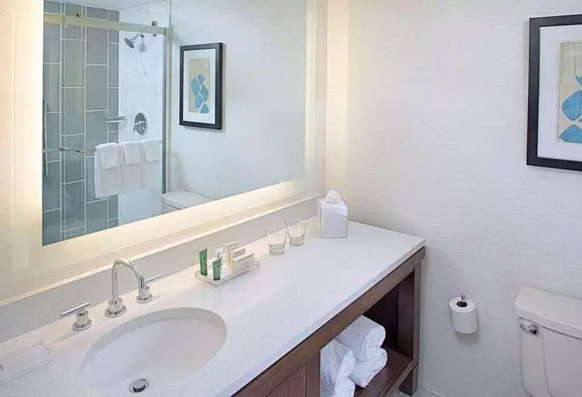 سوئیت با تخت بزرگ, Conrad Indianapolis