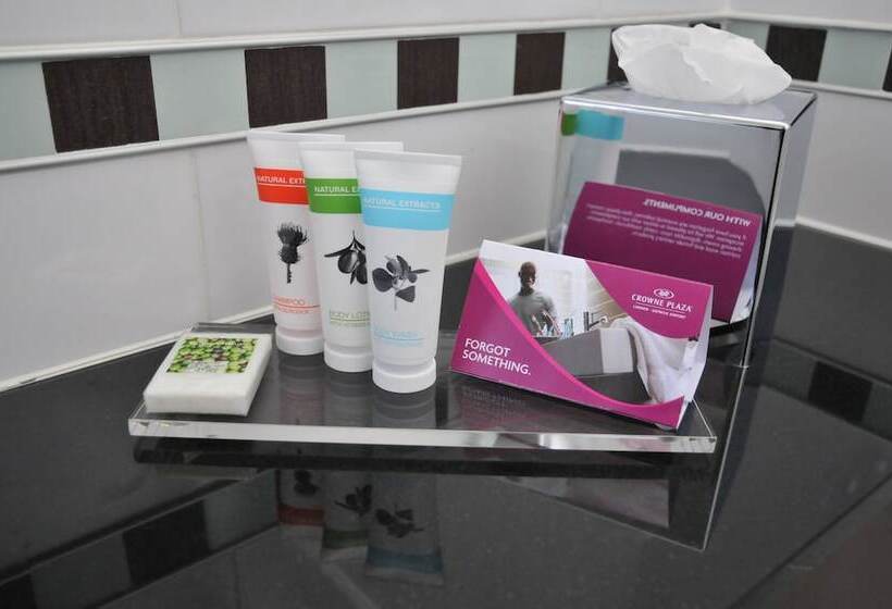 Номер Стандарт, Crowne Plaza London Gatwick Airport, An Ihg