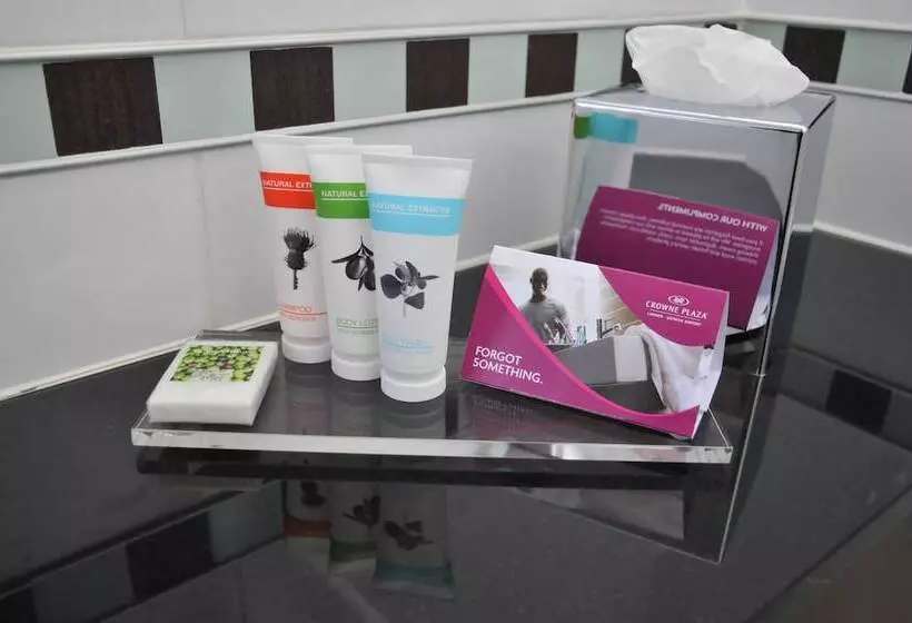 プレミアムルーム, Crowne Plaza London   Gatwick Airport, An Ihg