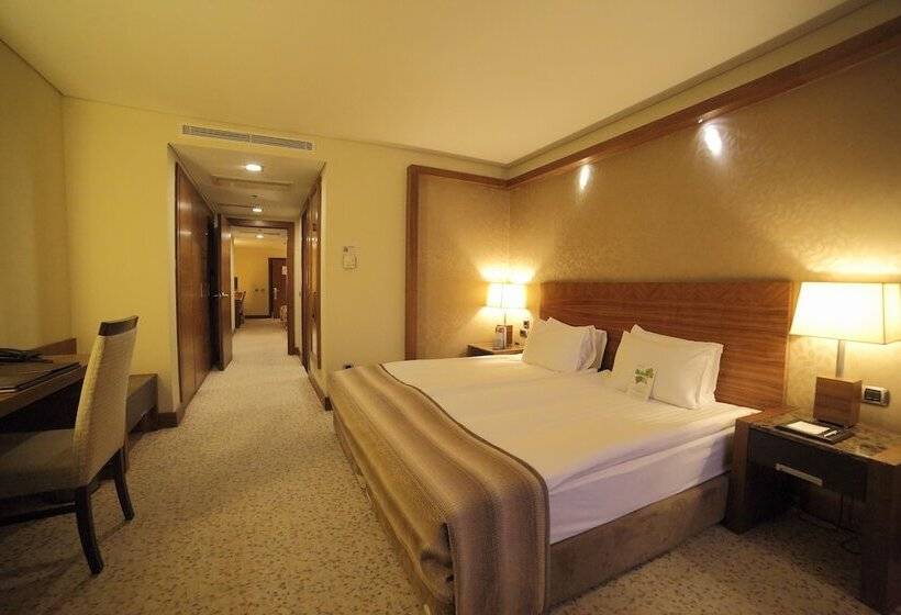 패밀리 룸, Dedeman Konya Hotel Convention Center