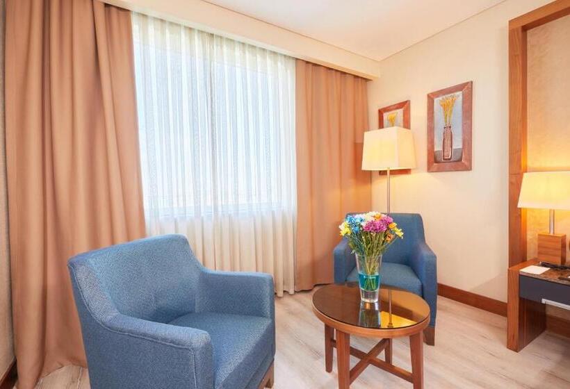 수피리어 룸, Dedeman Konya Hotel Convention Center