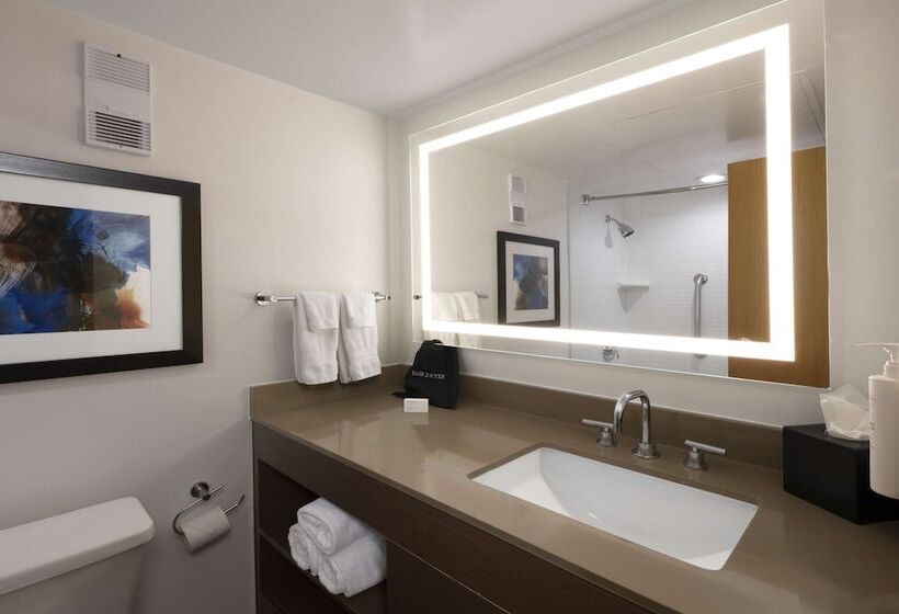 Suite, Embassy Suites By Hilton Dallas Dfw Airport South