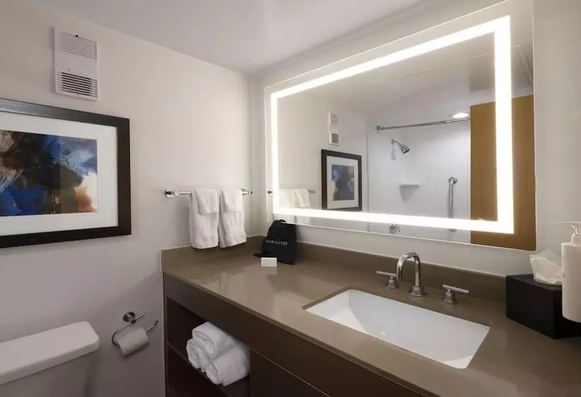 سوییت, Embassy Suites By Hilton Dallas Dfw Airport South