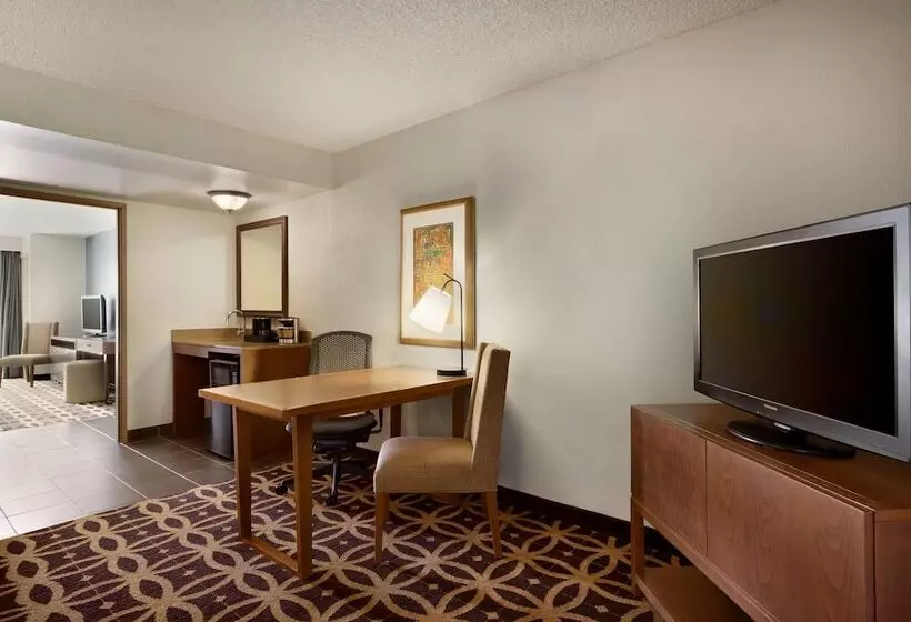 سوییت, Embassy Suites By Hilton Dallas Dfw Airport South
