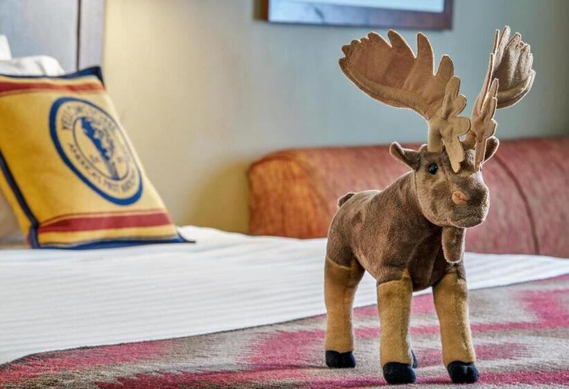 חדר דלוקס, Yellowstone Park