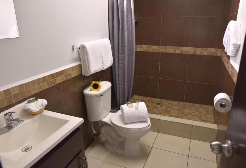 חדר סטנדרט, Baja Inn Hoteles La Mesa