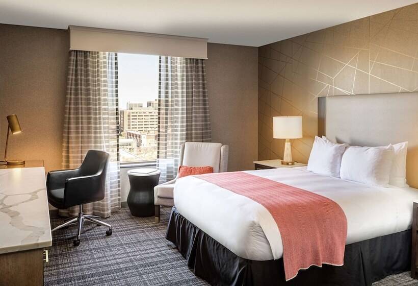 身障者適用スタンダードルーム, Doubletree By Hilton Dallas Near The Galleria