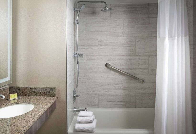 غرفة قياسية لذوى الاحتياجات الخاصة, Doubletree By Hilton Dallas Near The Galleria