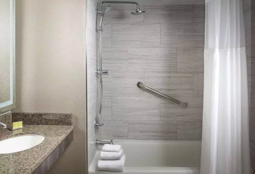 身障者適用スタンダードルーム, Doubletree By Hilton Dallas Near The Galleria